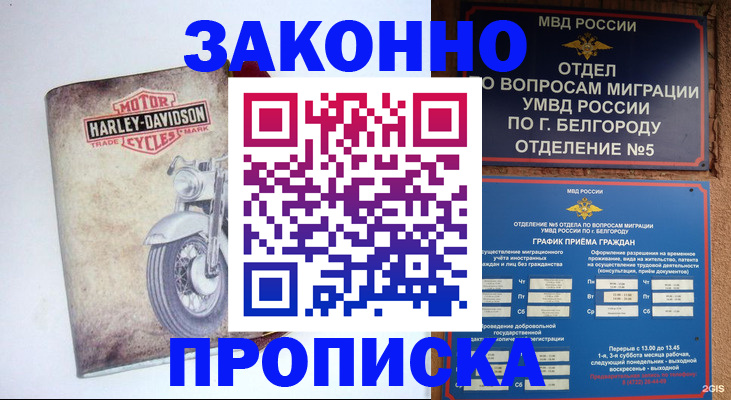 прописка для школы в Ингушетии